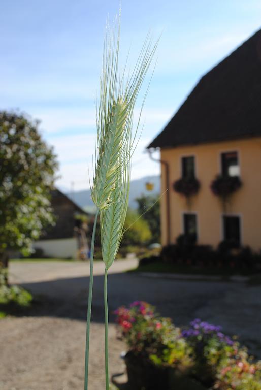 Villa Schlintl-Hof Liebenfels Exterior foto
